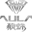 ico
