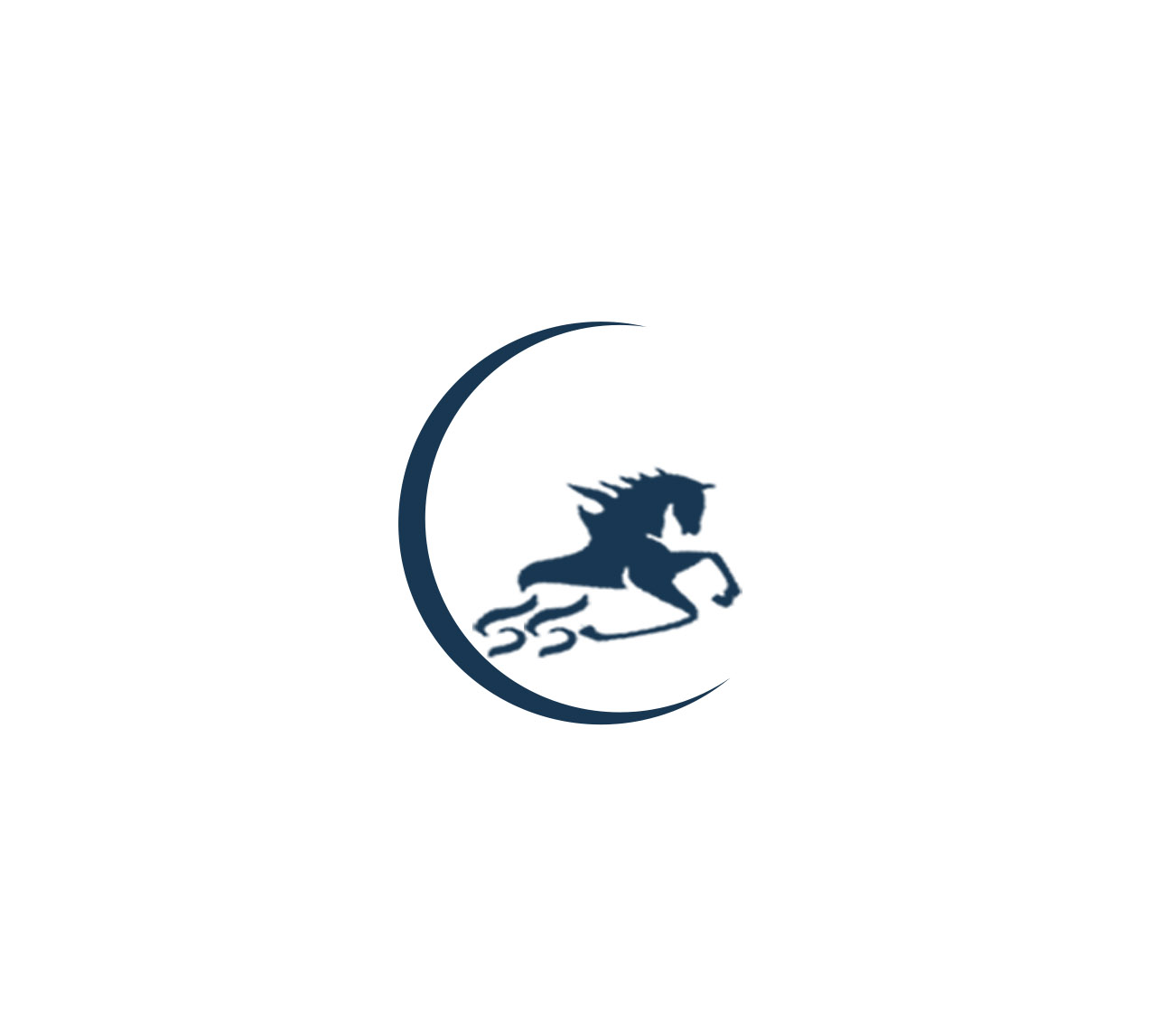 ico