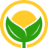 大学加油网