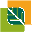 ico