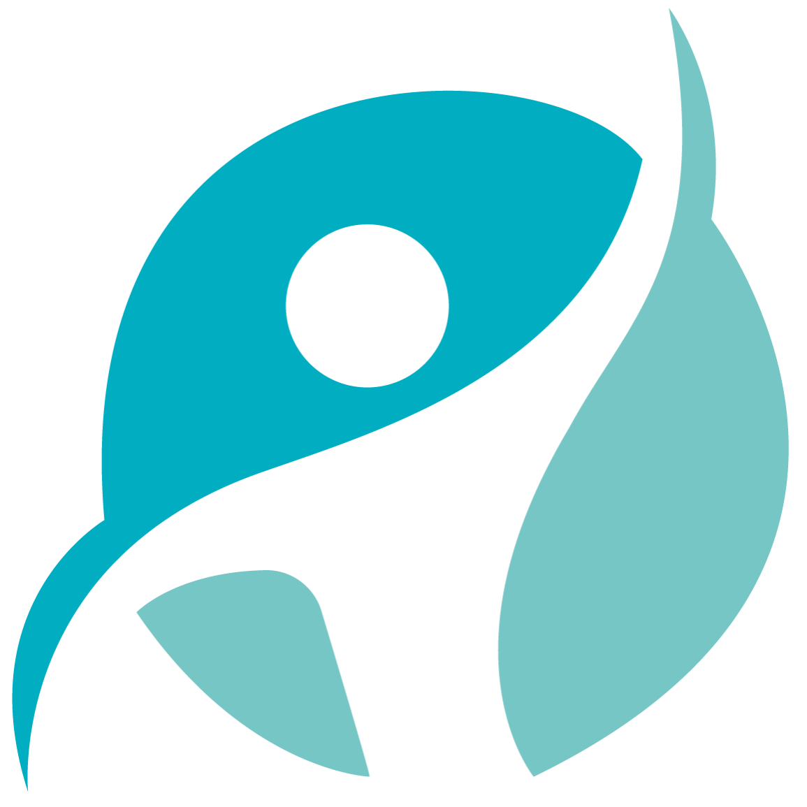 ico