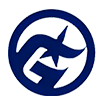 ico