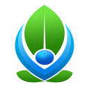 ico