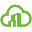 ico