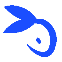 ico