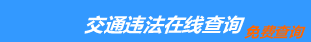 （手机版）南通交通违章查询