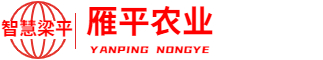 智慧梁平