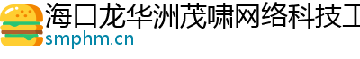 海口龙华洲茂啸网络科技工作室