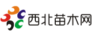西北苗木网