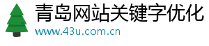青岛网站关键字优化