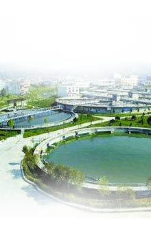 免费黄页网