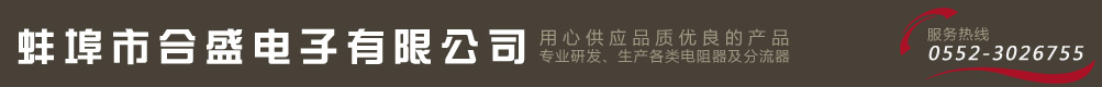 蚌埠市合盛电子有限公司