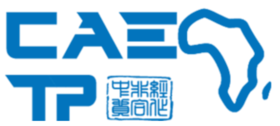 湖南省中非经贸合作促进研究会大湾区中非经贸促进专委会官网