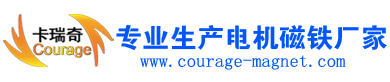 电机定转子磁瓦,磁铁,多极磁环