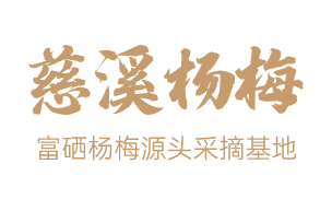 慈溪杨梅