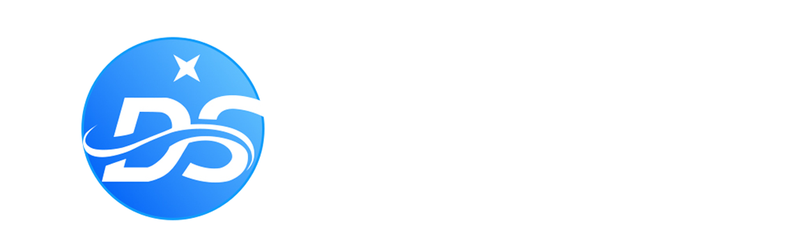 东顺网络