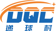 递球村国际物流（深圳）有限公司