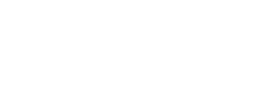 迪爱斯