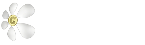 广州网站建设