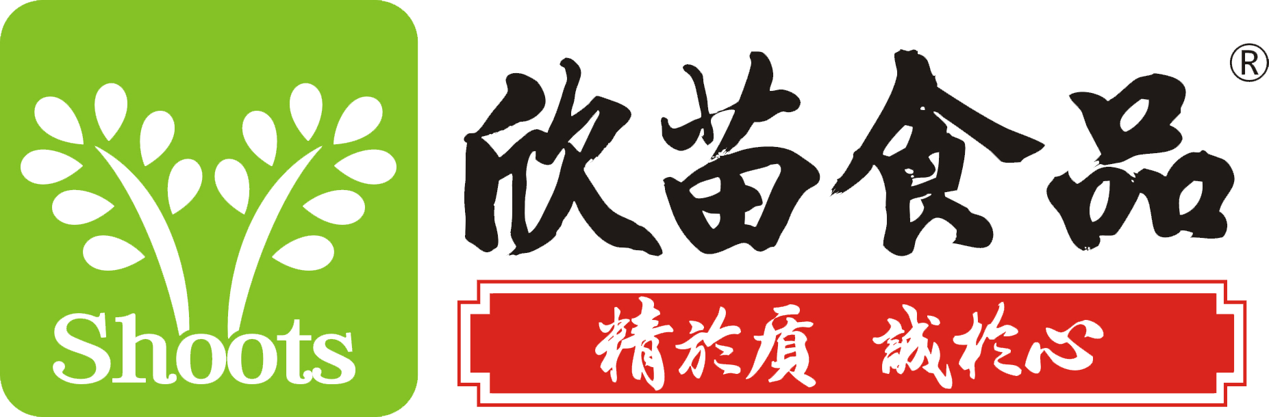 网站首页