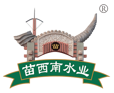 首页