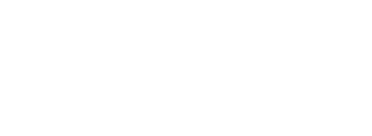 海氏海诺集团