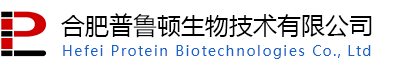 合肥普鲁顿生物技术有限公司