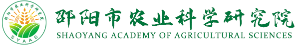 首页