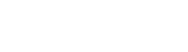 风鸟企业查询平台