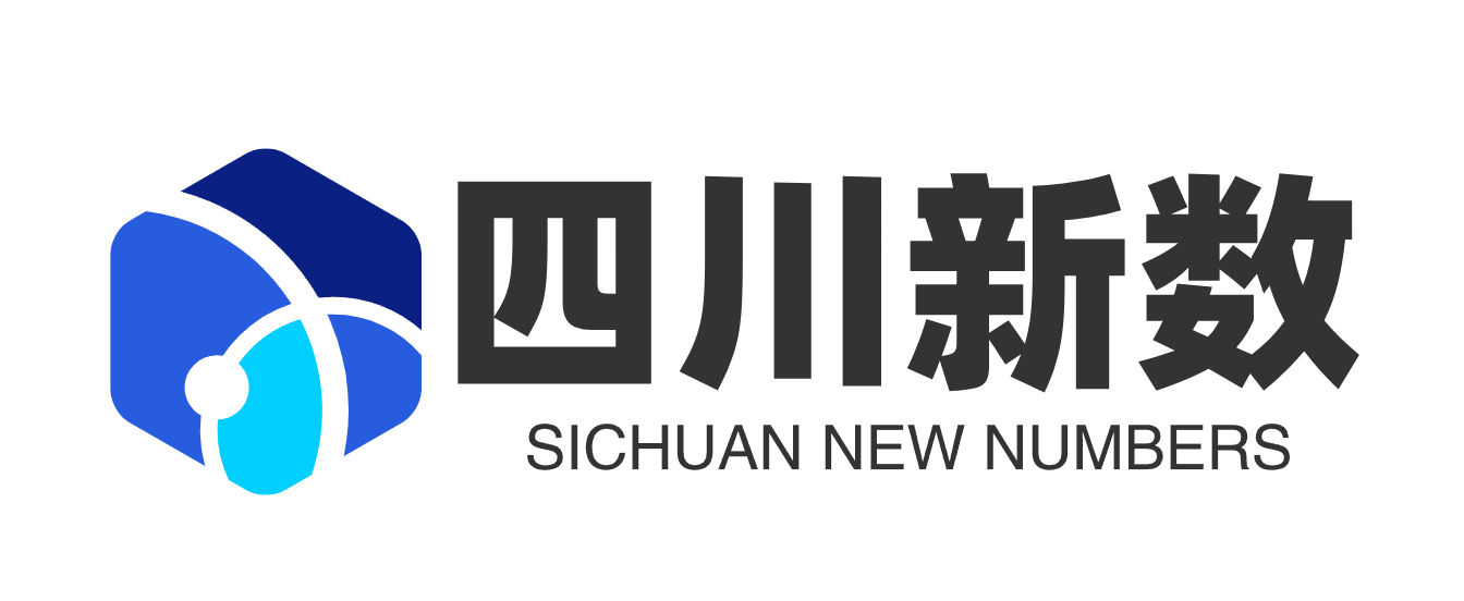四川新数信息技术有限公司