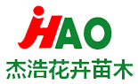 青州草花,宿根地被花卉,丛生福禄考小苗种植,三色堇小苗出售,水生植物种植基地
