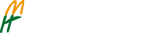 群体光合检测