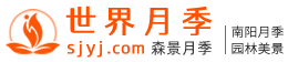 世界月季网
