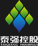 深圳市泰强投资控股有限公司