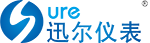 迅尔仪表（大连）有限公司