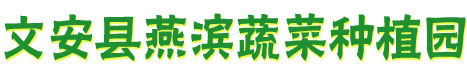 汉宫芽韭