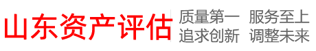 山东评估机构