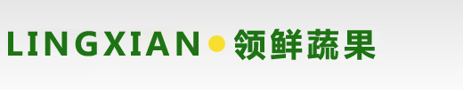 腾博会(中国)有限公司