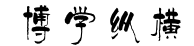 北京博学纵横咨询有限公司