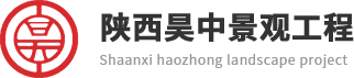 西安木模板价格